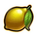 icon 10