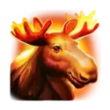 icon 3