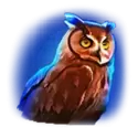 icon 6