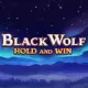 Black Wolf Hold and Win