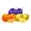 icon 4