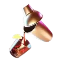 icon 1