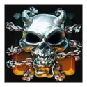 icon 9