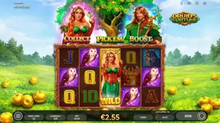 Druid’s Fortune slot screenshot 5