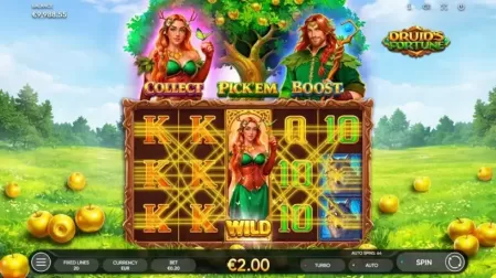 Druid’s Fortune slot screenshot 4