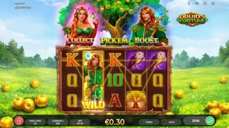Druid’s Fortune slot screenshot 2