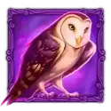 icon 4