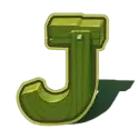 icon 9