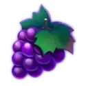 icon 6