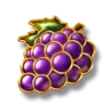 icon 5