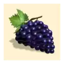 icon 2