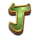 icon 10