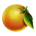 icon 4