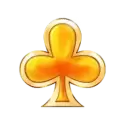 icon 9