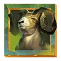 icon 3