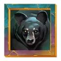 icon 5