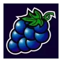 icon 3