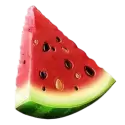 icon 4