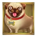 icon 3