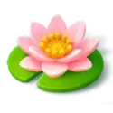 icon 6