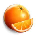 icon 4