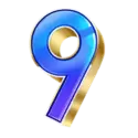 icon 13