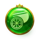 icon 9