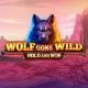 Wolf Gone Wild Hold And Win