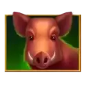icon 3
