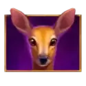icon 2