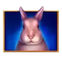 icon 4