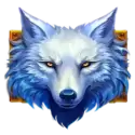 icon 9
