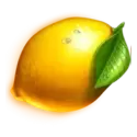 icon 5