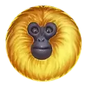 icon 2