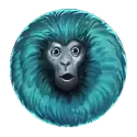 icon 4