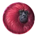 icon 6