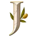 icon 10