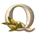 icon 9
