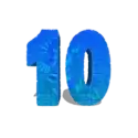 icon 12