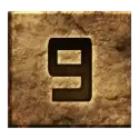 icon 10