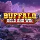 Buffalo Hold and Win