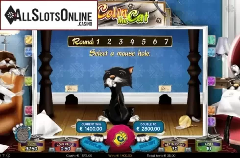Bonus game. Colin the Cat from Wazdan