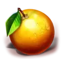 icon 6