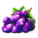 icon 4