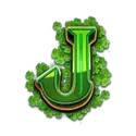 icon 9