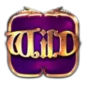 icon 1