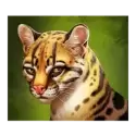 icon 3