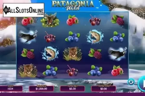 Reel Screen