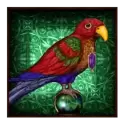 icon 4