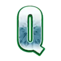 icon 9